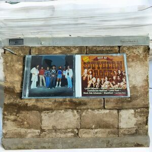 Lynyrd Skynyrd & The Best Of Southern Rock Cds